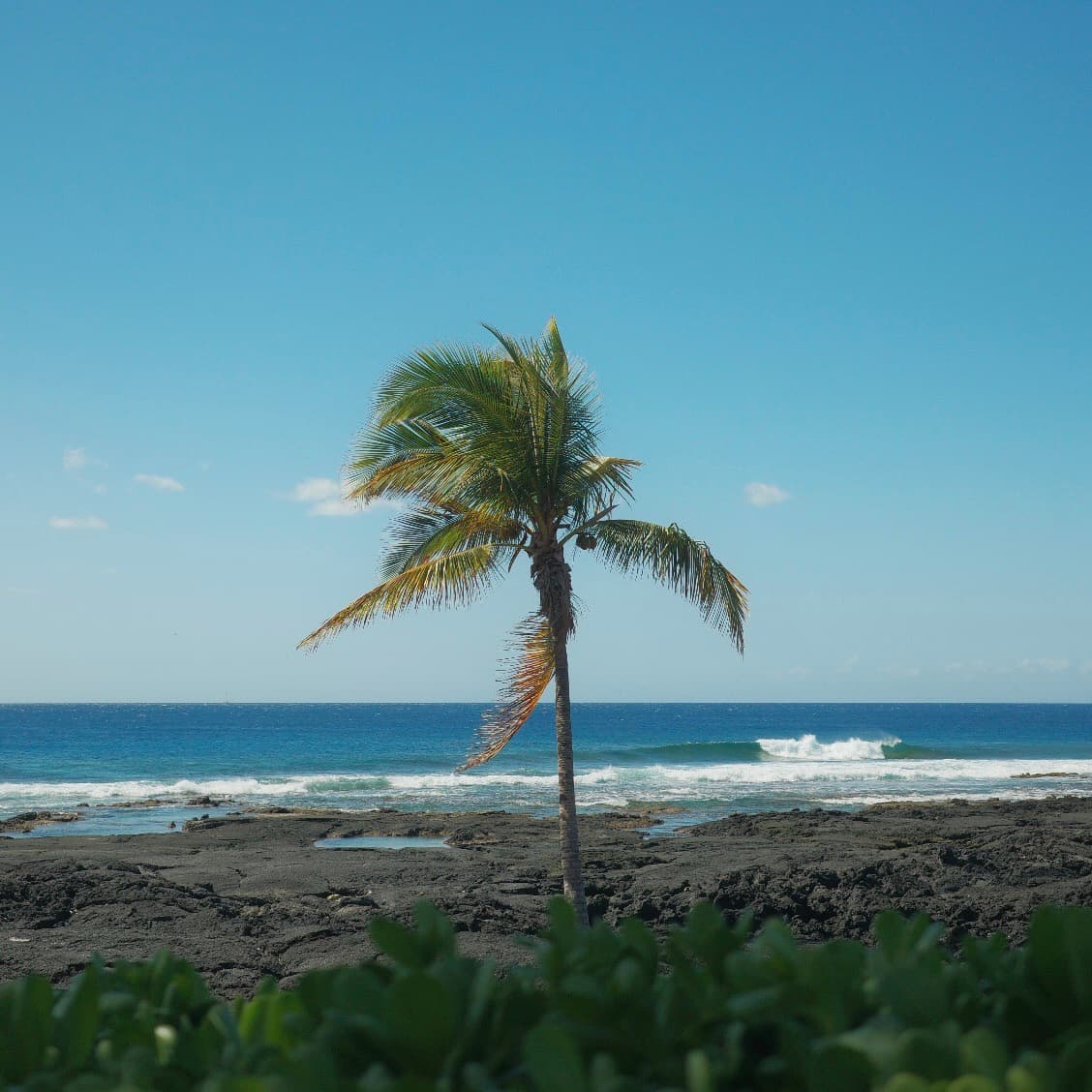 Photography by Alex Bryant